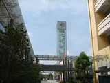 瑞安集云学校